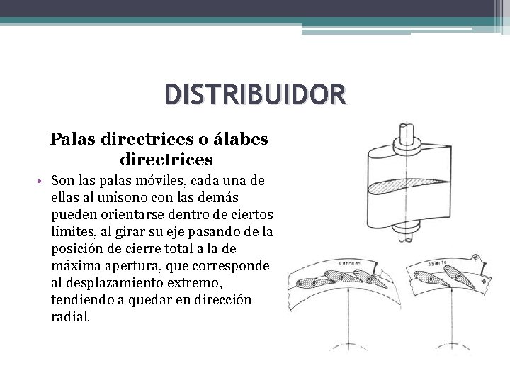 DISTRIBUIDOR Palas directrices o álabes directrices • Son las palas móviles, cada una de