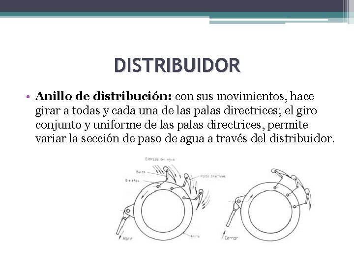 DISTRIBUIDOR • Anillo de distribución: con sus movimientos, hace girar a todas y cada