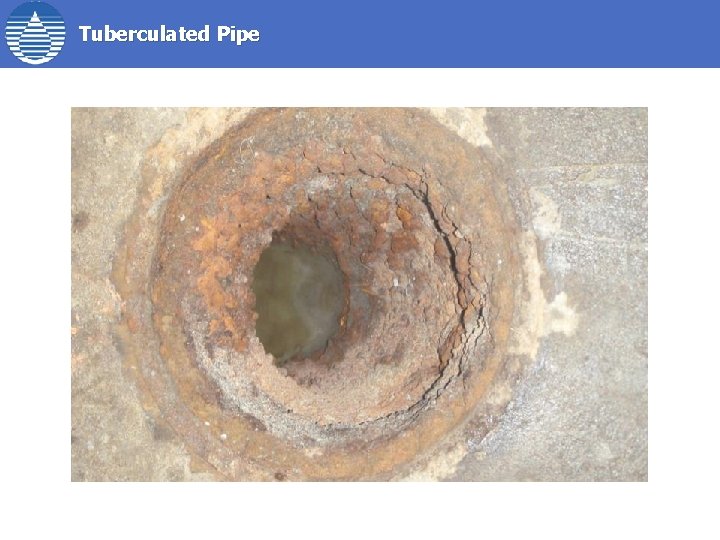 Tuberculated Pipe 