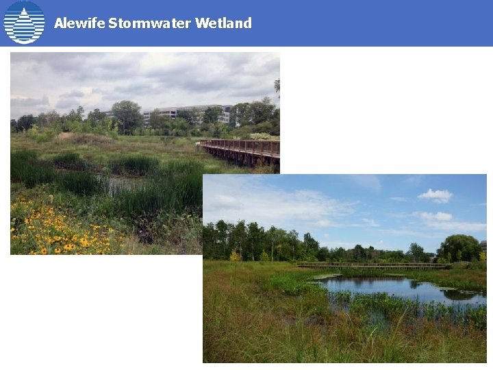 Alewife Stormwater Wetland 68 