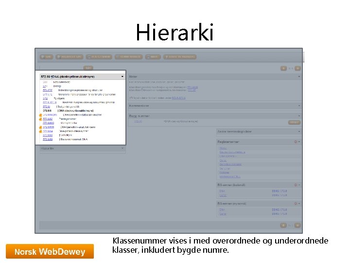 Hierarki Klassenummer vises i med overordnede og underordnede klasser, inkludert bygde numre. 