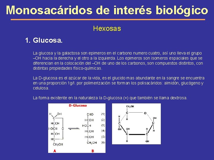 Monosacáridos de interés biológico Hexosas 1. Glucosa. La glucosa y la galactosa son epimeros