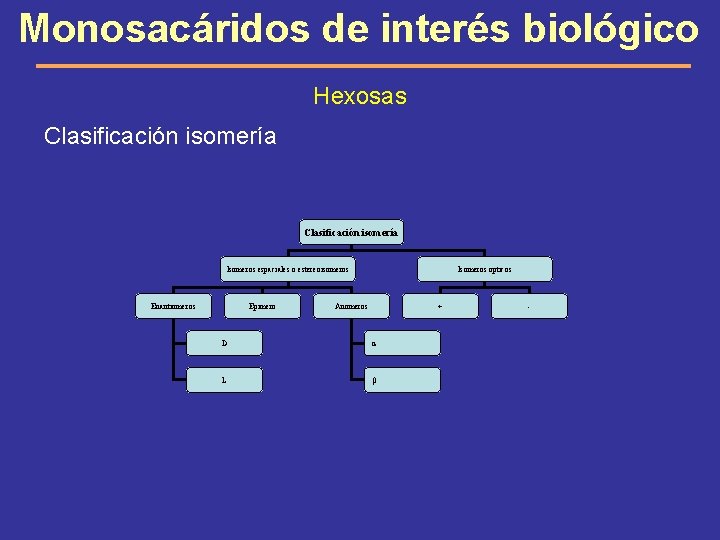 Monosacáridos de interés biológico Hexosas Clasificación isomería Isomeros espaciales o estereoisomeros Enantiomeros Epimero Isomeros