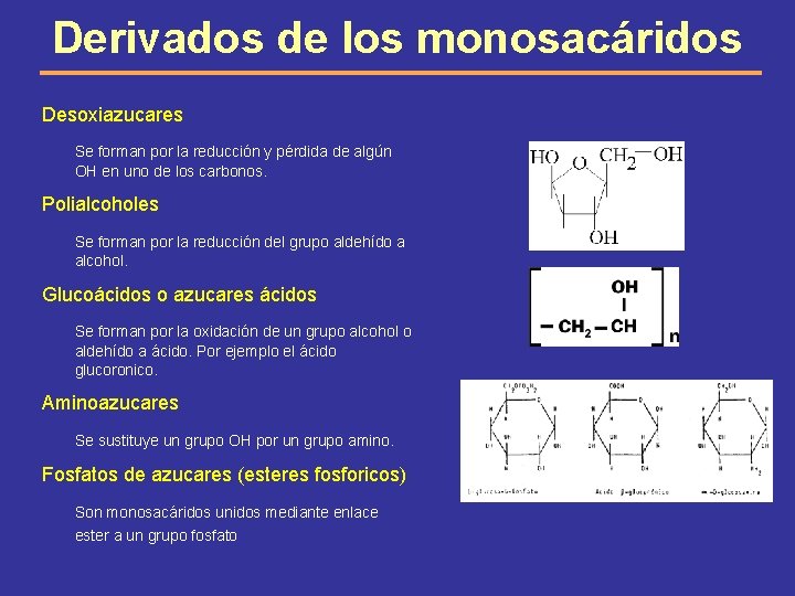 Derivados de los monosacáridos Desoxiazucares Se forman por la reducción y pérdida de algún