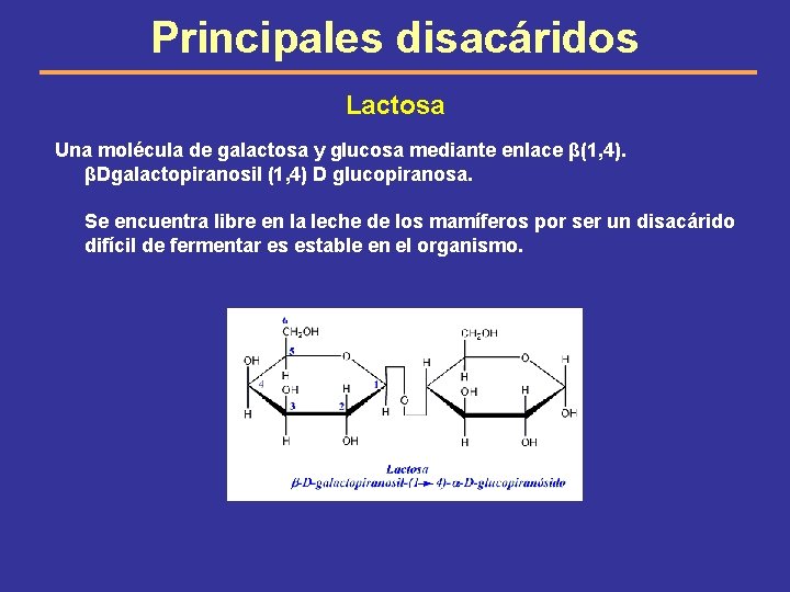 Principales disacáridos Lactosa Una molécula de galactosa y glucosa mediante enlace β(1, 4). βDgalactopiranosil