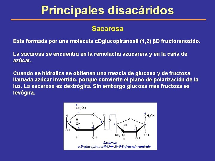 Principales disacáridos Sacarosa Esta formada por una molécula αDglucopiranosil (1, 2) βD fructoranosido. La