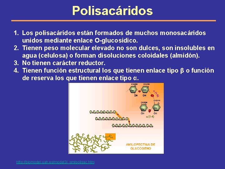 Polisacáridos 1. Los polisacáridos están formados de muchos monosacáridos unidos mediante enlace O-glucosidico. 2.