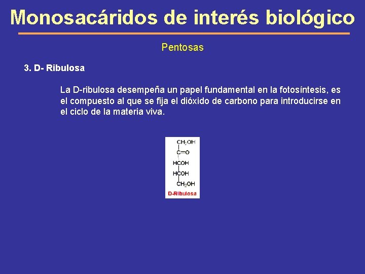 Monosacáridos de interés biológico Pentosas 3. D- Ribulosa La D-ribulosa desempeña un papel fundamental