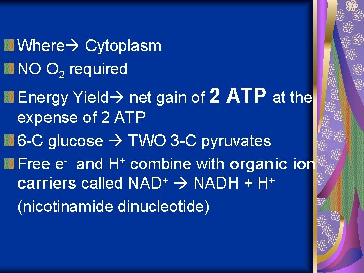 Where Cytoplasm NO O 2 required Energy Yield net gain of 2 ATP at