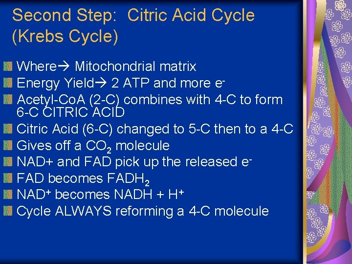 Second Step: Citric Acid Cycle (Krebs Cycle) Where Mitochondrial matrix Energy Yield 2 ATP