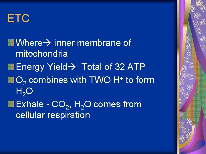ETC Where inner membrane of mitochondria Energy Yield Total of 32 ATP O 2