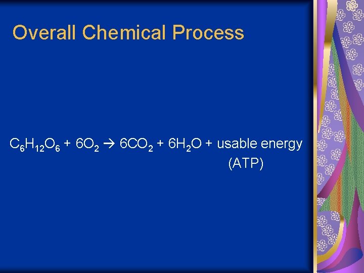 Overall Chemical Process C 6 H 12 O 6 + 6 O 2 6