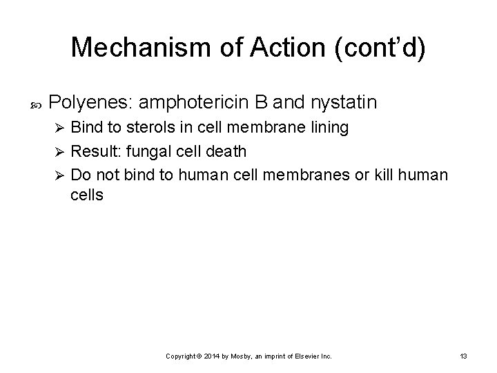 Mechanism of Action (cont’d) Polyenes: amphotericin B and nystatin Bind to sterols in cell