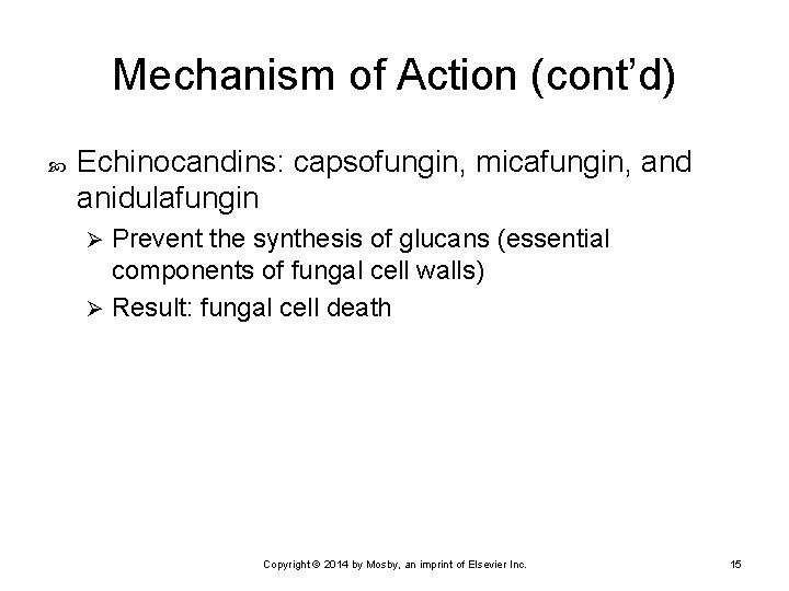 Mechanism of Action (cont’d) Echinocandins: capsofungin, micafungin, and anidulafungin Prevent the synthesis of glucans