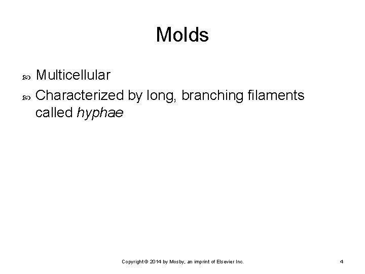 Molds Multicellular Characterized by long, branching filaments called hyphae Copyright © 2014 by Mosby,