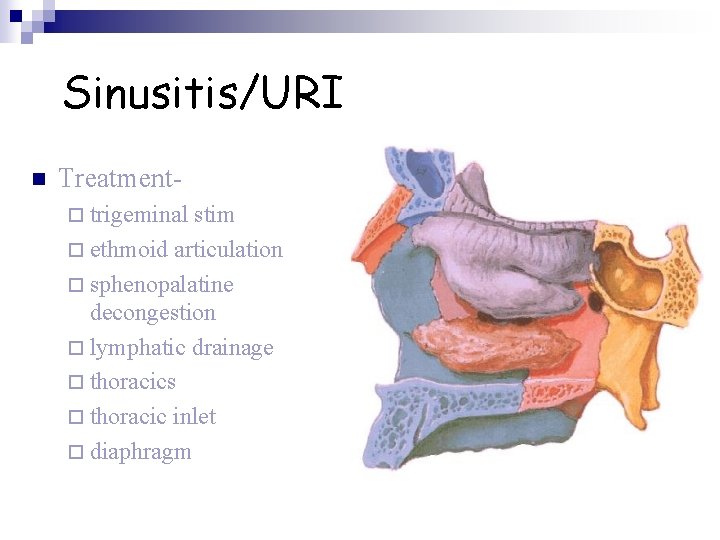 Sinusitis/URI n Treatment¨ trigeminal stim ¨ ethmoid articulation ¨ sphenopalatine decongestion ¨ lymphatic drainage
