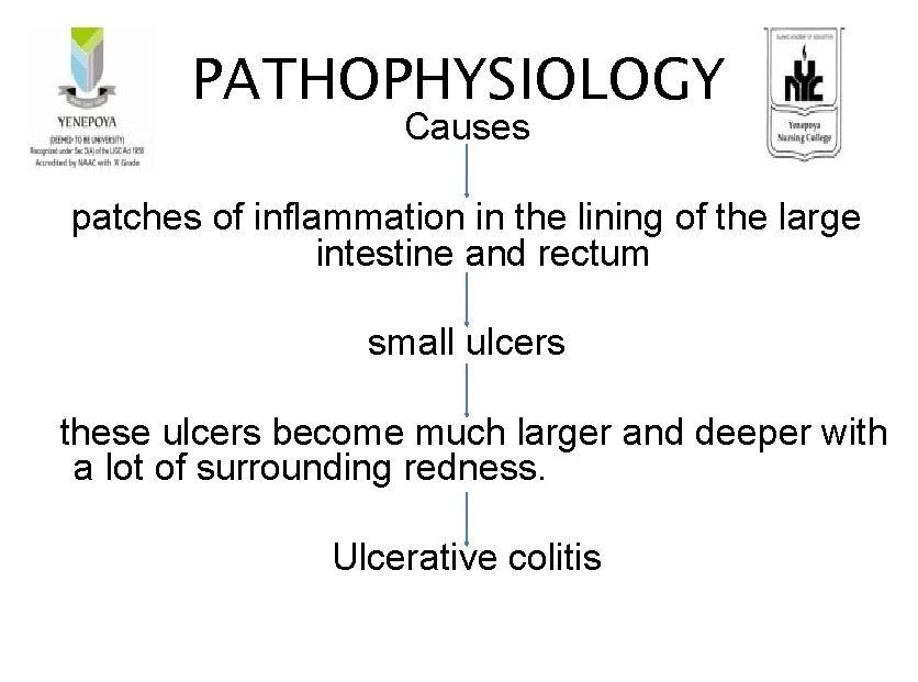 PATHOPHYSIOLOGY Causes patches of inflammation in the lining of the large intestine and rectum