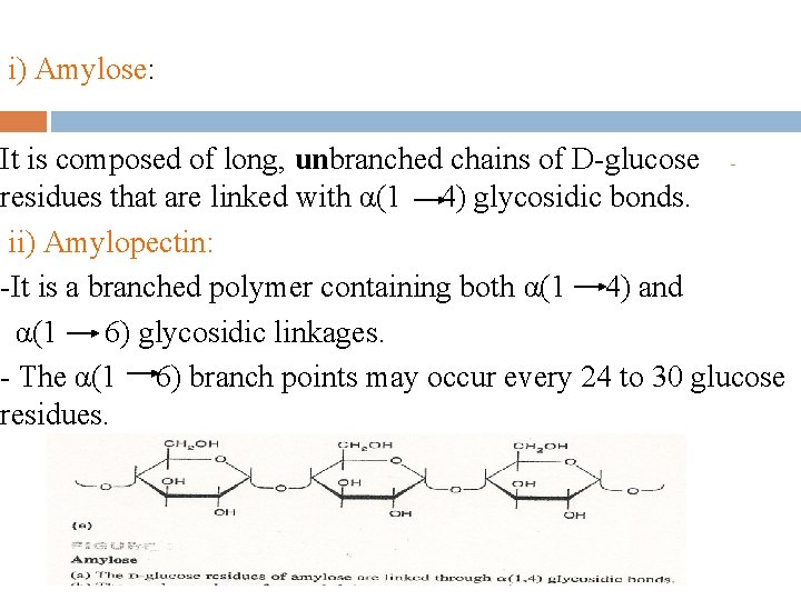 i) Amylose: It is composed of long, unbranched chains of D-glucose residues that are