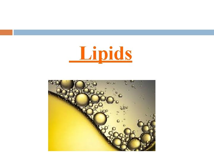 Lipids 