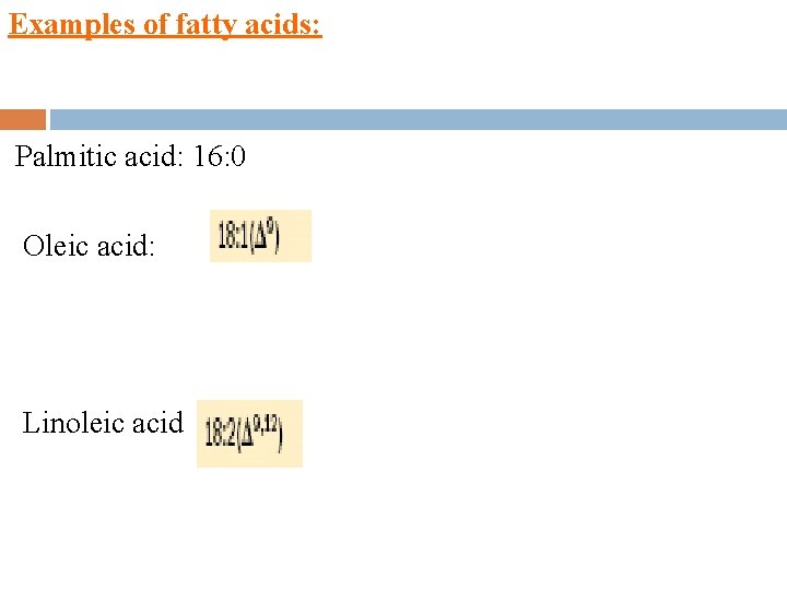 Examples of fatty acids: Palmitic acid: 16: 0 Oleic acid: Linoleic acid 