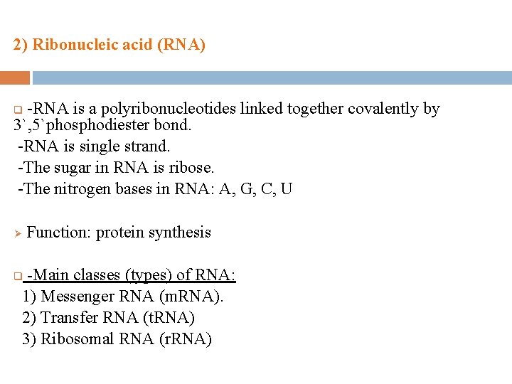 2) Ribonucleic acid (RNA) -RNA is a polyribonucleotides linked together covalently by 3`, 5`phosphodiester