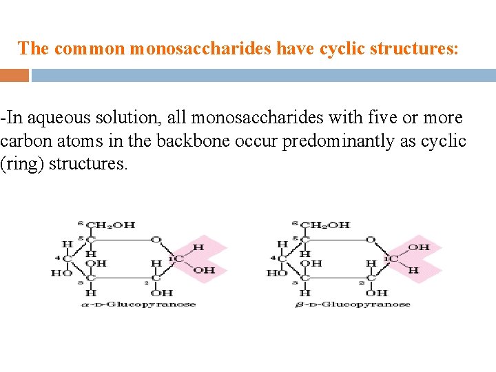 The common monosaccharides have cyclic structures: -In aqueous solution, all monosaccharides with five or