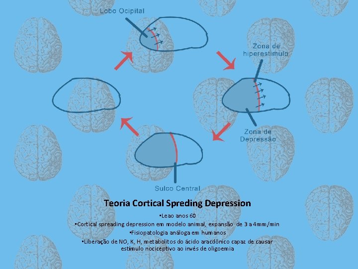 Teoria Cortical Spreding Depression • Leao anos 60 • Cortical spreading depression em modelo