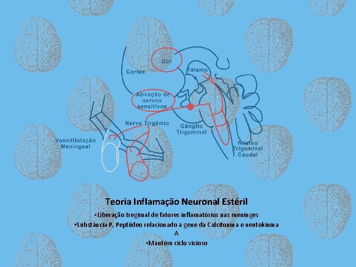 Teoria Inflamação Neuronal Estéril • Liberação tregimal de fatores inflamatórios nas meninges • Substância