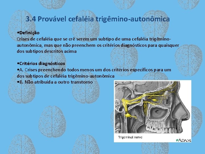 3. 4 Provável cefaléia trigêmino-autonômica • Definição Crises de cefaléia que se crê serem