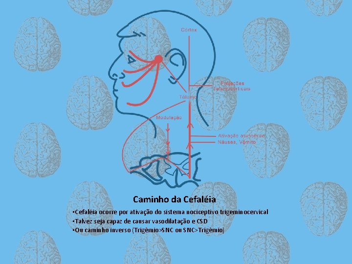Caminho da Cefaléia • Cefaléia ocorre por ativação do sistema nociceptivo trigeminocervical • Talvez