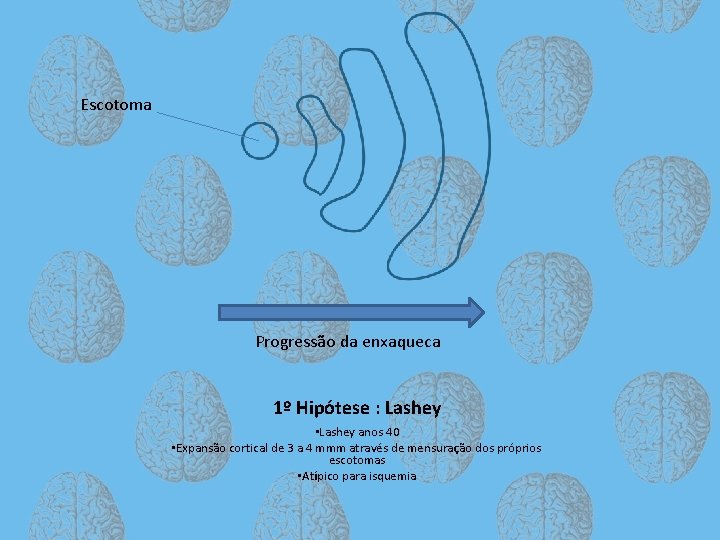 Escotoma Progressão da enxaqueca 1º Hipótese : Lashey • Lashey anos 40 • Expansão