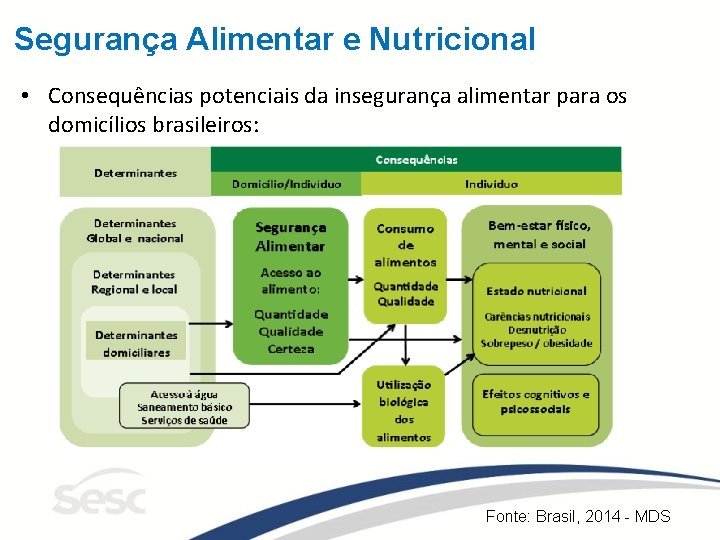 Segurança Alimentar e Nutricional • Consequências potenciais da insegurança alimentar para os domicílios brasileiros: