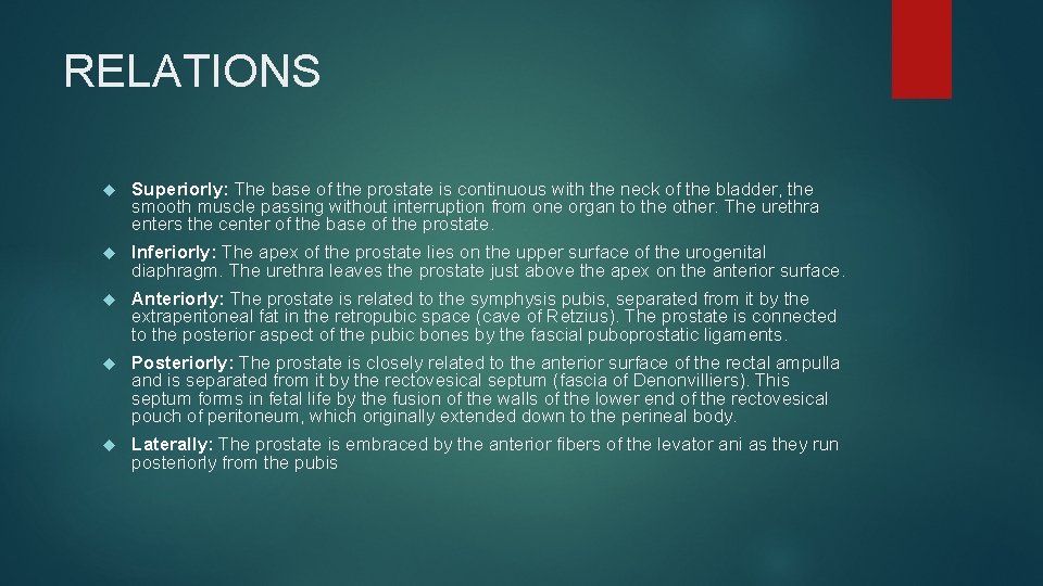 RELATIONS Superiorly: The base of the prostate is continuous with the neck of the