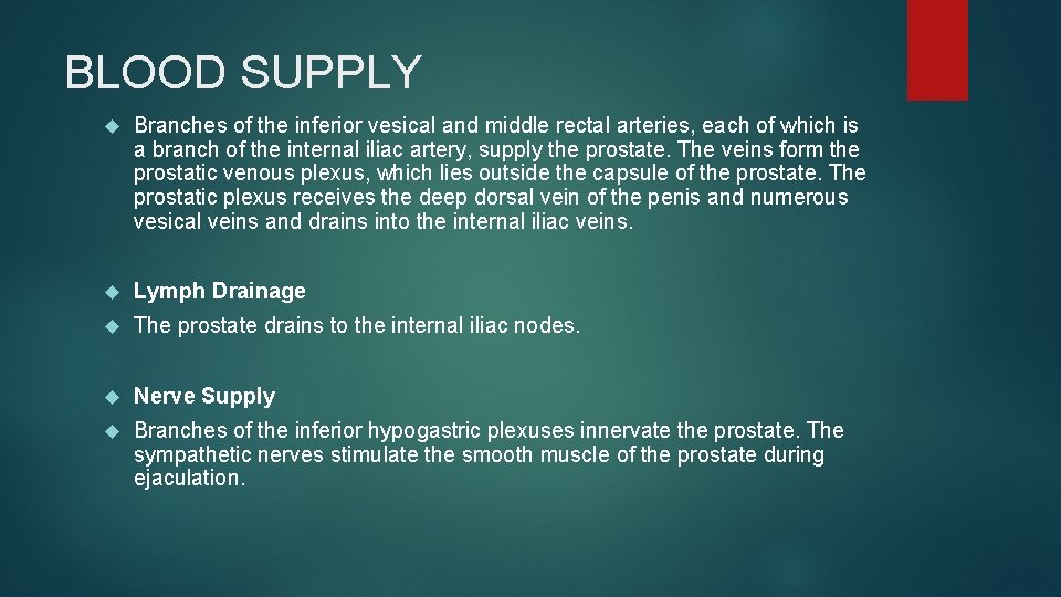 BLOOD SUPPLY Branches of the inferior vesical and middle rectal arteries, each of which