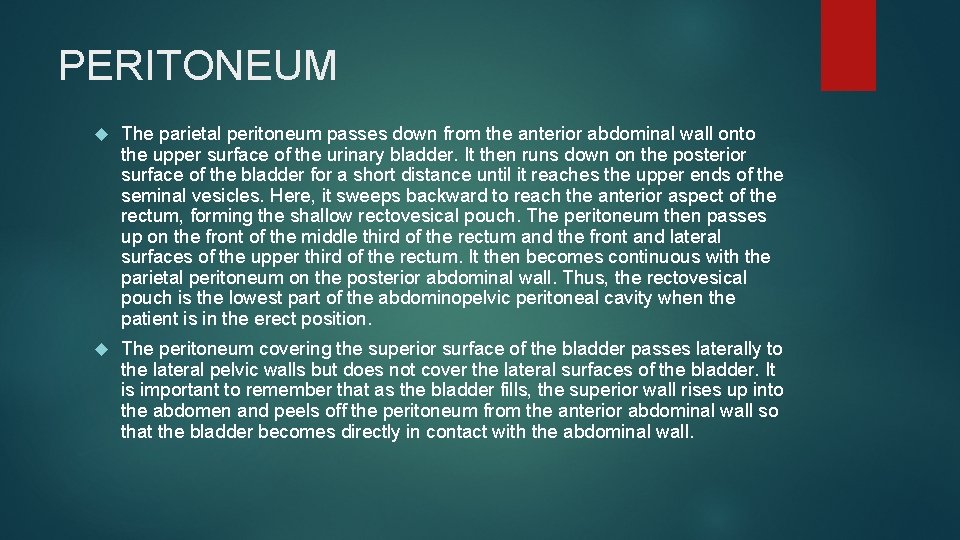 PERITONEUM The parietal peritoneum passes down from the anterior abdominal wall onto the upper