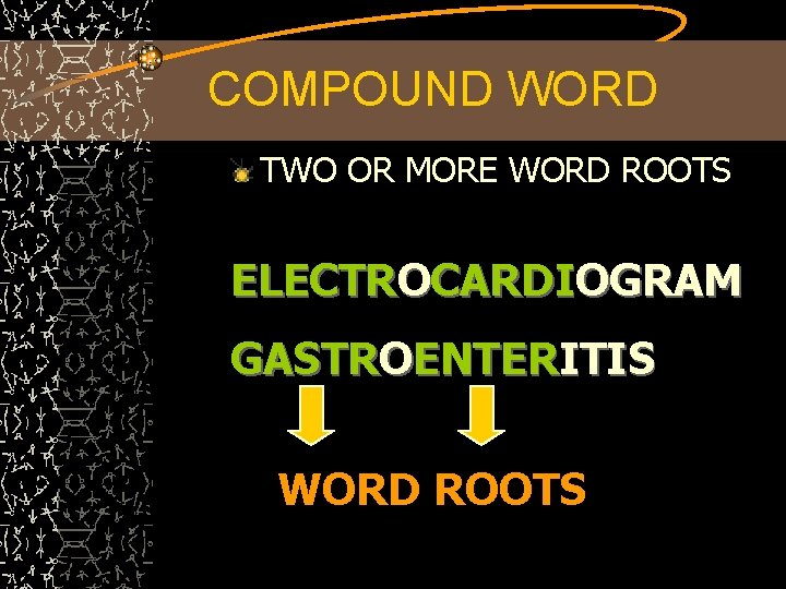 COMPOUND WORD TWO OR MORE WORD ROOTS ELECTROCARDIOGRAM GASTROENTERITIS WORD ROOTS 