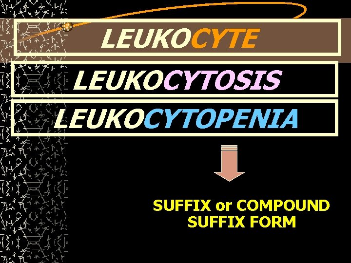 LEUKOCYTE LEUKOCYTOSIS LEUKOCYTOPENIA SUFFIX or COMPOUND SUFFIX FORM 