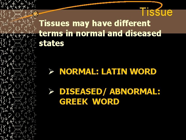 Tissues may have different terms in normal and diseased states Ø NORMAL: LATIN WORD