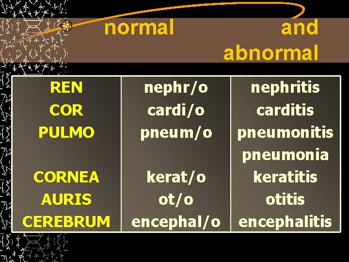 normal REN COR PULMO nephr/o cardi/o pneum/o CORNEA AURIS CEREBRUM kerat/o ot/o encephal/o and