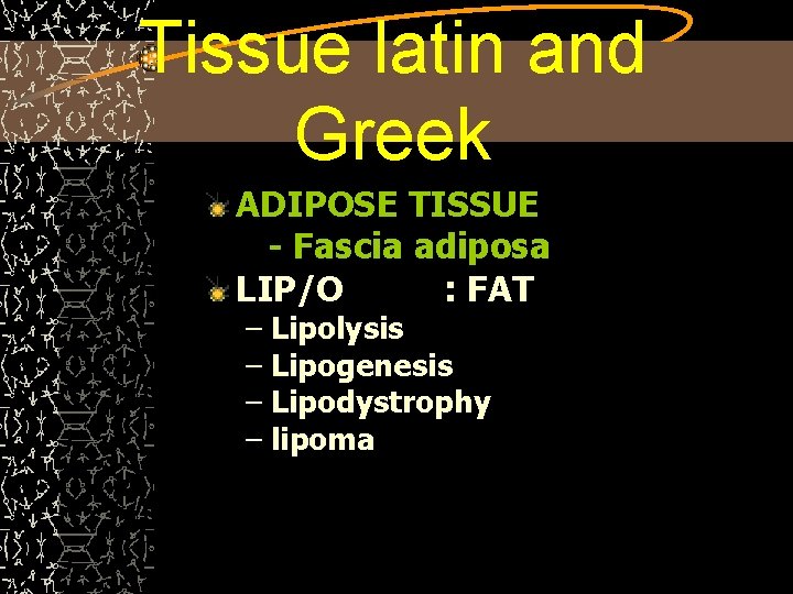 Tissue latin and Greek ADIPOSE TISSUE - Fascia adiposa LIP/O : FAT – Lipolysis