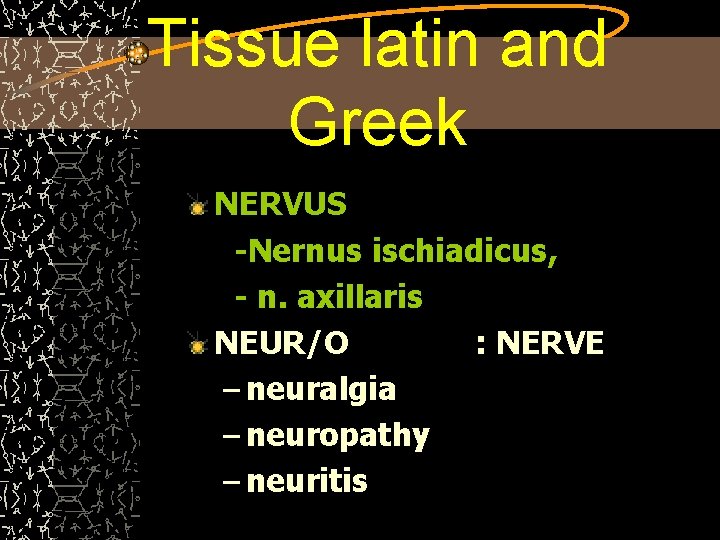 Tissue latin and Greek NERVUS -Nernus ischiadicus, - n. axillaris NEUR/O : NERVE –