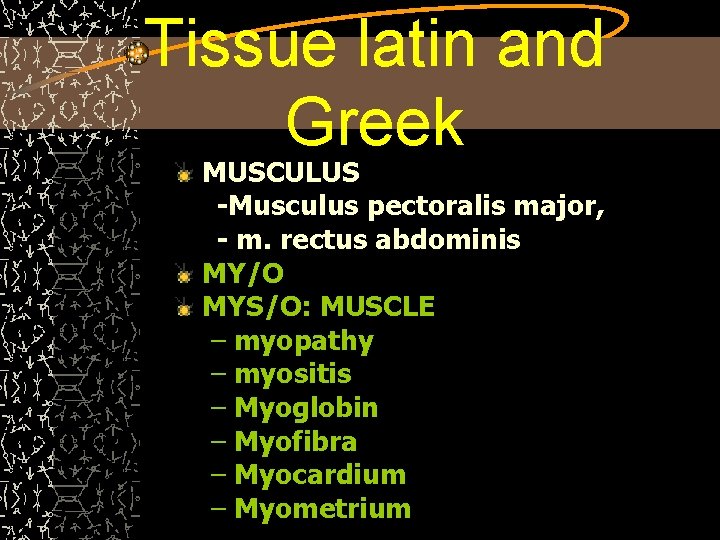 Tissue latin and Greek MUSCULUS -Musculus pectoralis major, - m. rectus abdominis MY/O MYS/O: