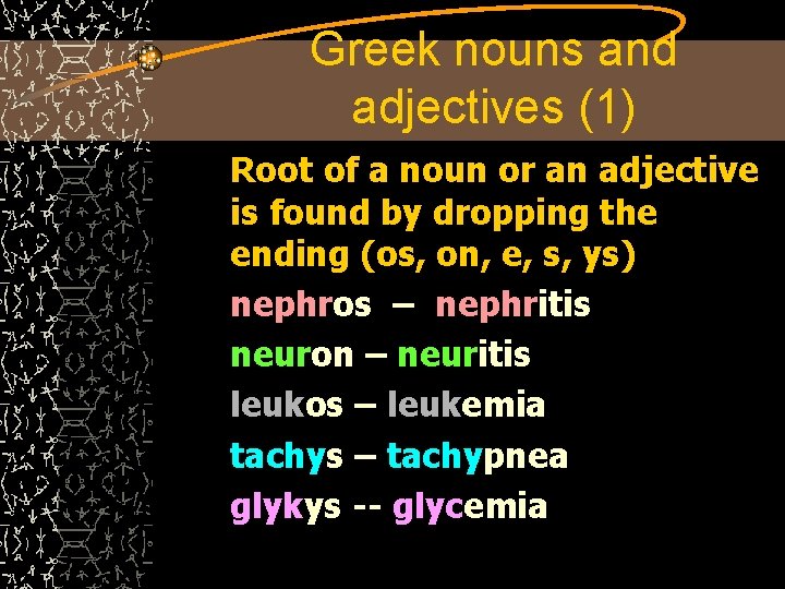 Greek nouns and adjectives (1) Root of a noun or an adjective is found