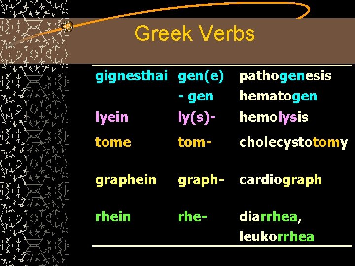 Greek Verbs gignesthai gen(e) - gen pathogenesis hematogen lyein ly(s)- hemolysis tome tom- cholecystotomy