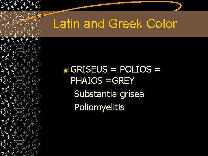 Latin and Greek Color GRISEUS = POLIOS = PHAIOS =GREY Substantia grisea Poliomyelitis 