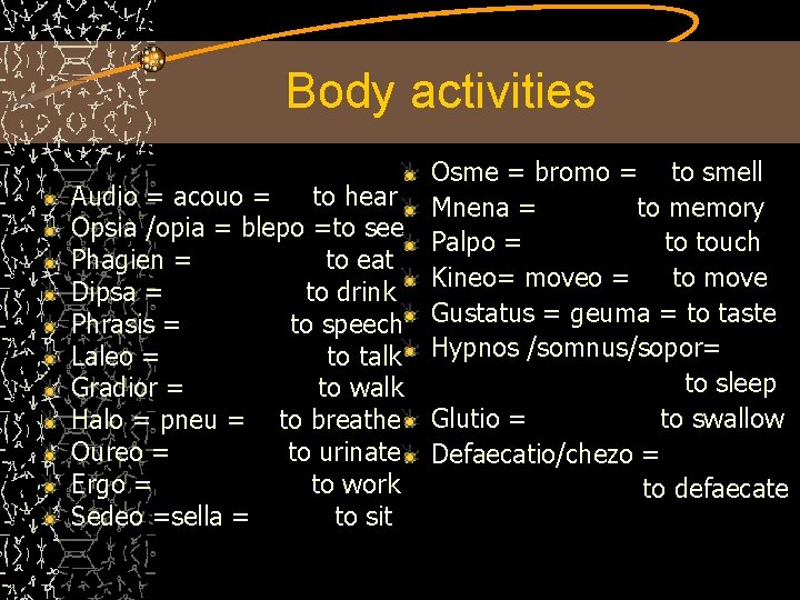 Body activities Audio = acouo = to hear Opsia /opia = blepo =to see