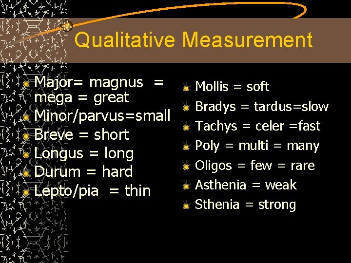 Qualitative Measurement Major= magnus = mega = great Minor/parvus=small Breve = short Longus =