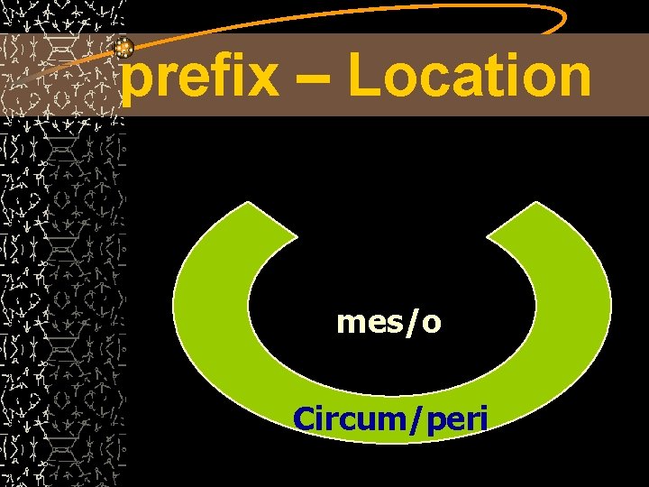 prefix – Location mes/o Circum/peri 