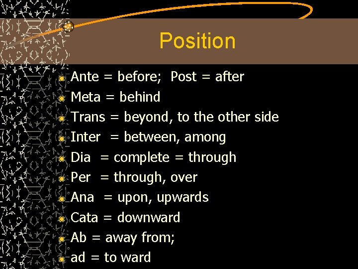 Position Ante = before; Post = after Meta = behind Trans = beyond, to