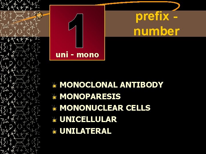 prefix number uni - mono MONOCLONAL ANTIBODY MONOPARESIS MONONUCLEAR CELLS UNICELLULAR UNILATERAL 